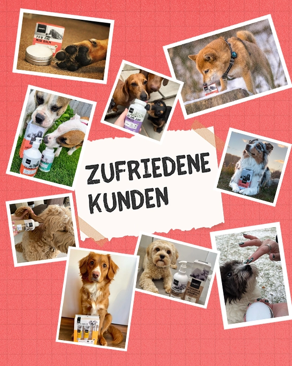 Zufriedene und glückliche Kunden