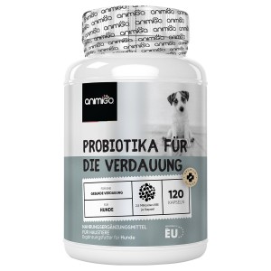 Verdauungsfördernde Probiotika