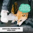 Anti Kratzen Spray für Katzen und Hunde