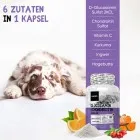 Glucosamin und Chondroitin für Hund und Katze kaufen