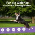 Glucosamin für Hunde und Katzen