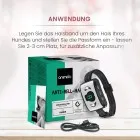 Anti-Bell Halsband Anwendung